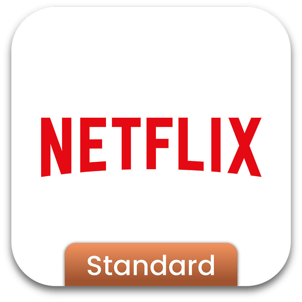Abonnement Netflix Standard